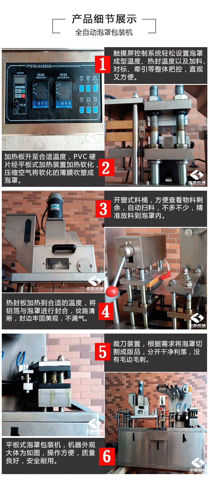 ZK-DP全自动泡罩包装机铝塑泡罩包装机